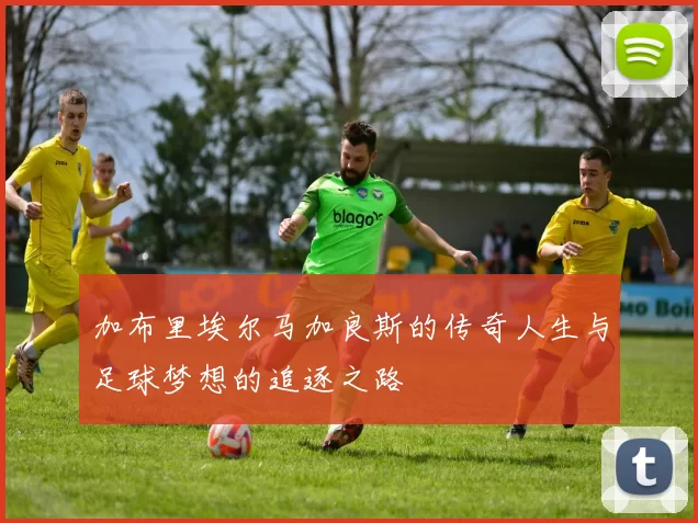 加布里埃尔马加良斯的传奇人生与足球梦想的追逐之路