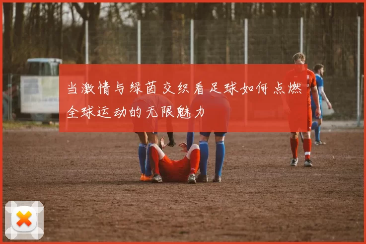 当激情与绿茵交织看足球如何点燃全球运动的无限魅力