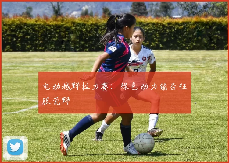 电动越野拉力赛：绿色动力能否征服荒野