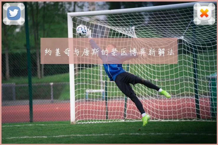 约基奇与唐斯的禁区博弈新解法