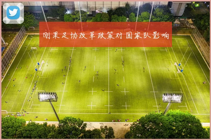 刚果足协改革政策对国家队影响