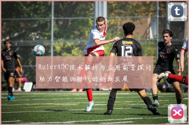 RulerADC技术解析与应用前景探讨助力智能化时代的创新发展