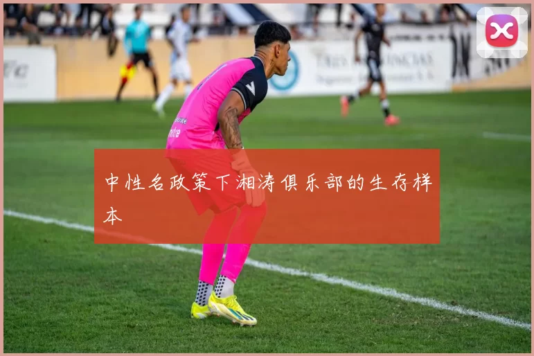 中性名政策下湘涛俱乐部的生存样本