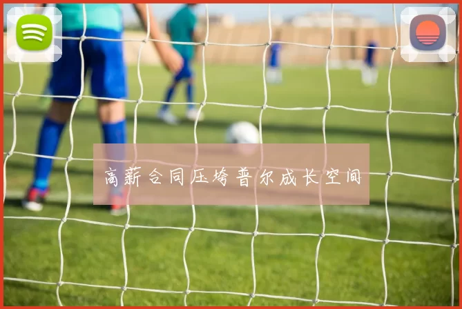 高薪合同压垮普尔成长空间