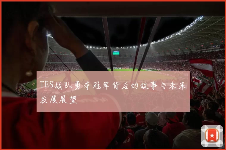 TES战队勇夺冠军背后的故事与未来发展展望