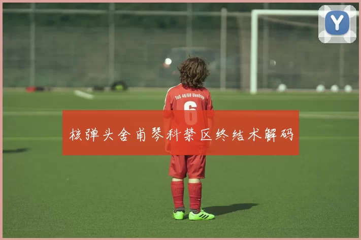 核弹头舍甫琴科禁区终结术解码
