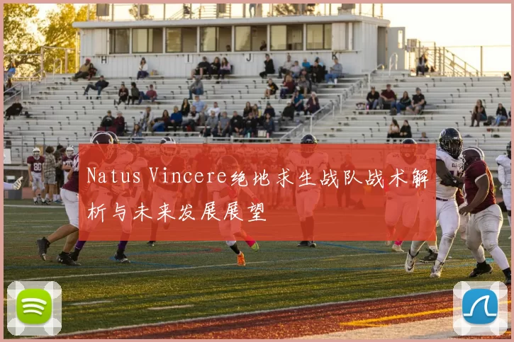 Natus Vincere绝地求生战队战术解析与未来发展展望